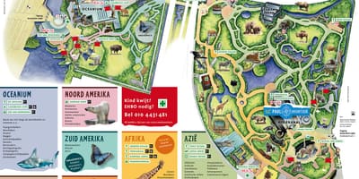 Mappa di lo zoo di Rotterdam 